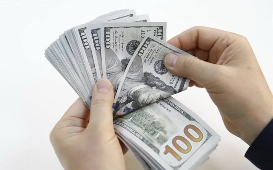 Dolar banknotları