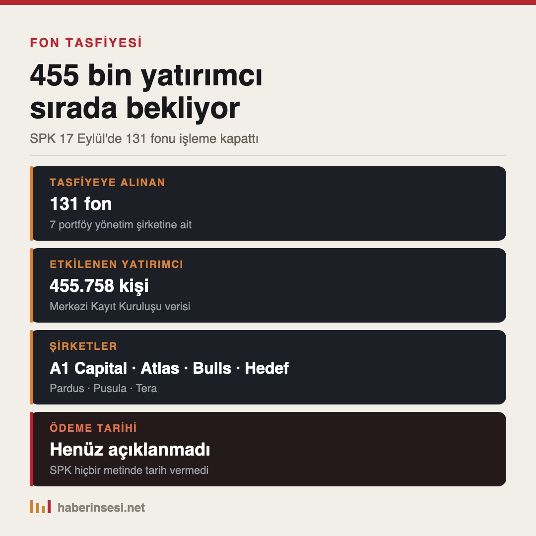Fon tasfiyesi rakamları